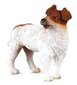 COLLECTA Jack Russel Terrier koira 88080 7cm hinta ja tiedot | Poikien lelut | hobbyhall.fi