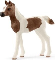 SCHLEICH HORSE CLUB Pintabian Foal hinta ja tiedot | Poikien lelut | hobbyhall.fi