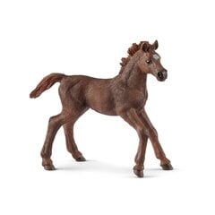 SCHLEICH HORSE CLUB Englantilainen Täysiverinen Ori hinta ja tiedot | Poikien lelut | hobbyhall.fi