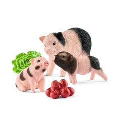 SCHLEICH FARM WORLD Minisika Ja Poikaset hinta ja tiedot | Poikien lelut | hobbyhall.fi