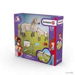 SCHLEICH HORSE CLUB Ensiapupakkaus Ja Islanninhevonen hinta ja tiedot | Schleich Lapset | hobbyhall.fi