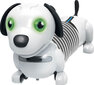 SILVERLIT Junior Robo Dackel -robokoira hinta ja tiedot | Poikien lelut | hobbyhall.fi