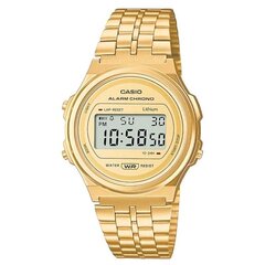 Casio Vintage rannekello hinta ja tiedot | Naisten kellot | hobbyhall.fi