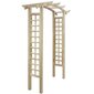 Trellis-kaari, 150x50x210cm, puuta hinta ja tiedot | Kukkatelineet ja kukkapöydät | hobbyhall.fi