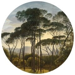 WallArt Tapetti ympyrä Umbrella Pines in Italy 142,5 cm hinta ja tiedot | Tapetit | hobbyhall.fi