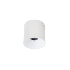 LED-lamppu Nowodvorski CL IOS 20W 4000K ANGLE 36 8738 hinta ja tiedot | Kattovalaisimet | hobbyhall.fi