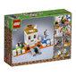 21145 LEGO® Minecraft Kalloareena hinta ja tiedot | LEGOT ja rakennuslelut | hobbyhall.fi