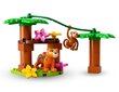 10906 LEGO® DUPLO trooppinen saari hinta ja tiedot | LEGOT ja rakennuslelut | hobbyhall.fi