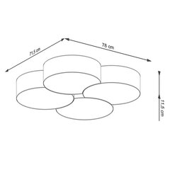 Kattovalaisin Circle 4 hinta ja tiedot | Kattovalaisimet | hobbyhall.fi