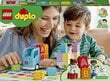 10915 LEGO® DUPLO Aakkosauto hinta ja tiedot | LEGOT ja rakennuslelut | hobbyhall.fi