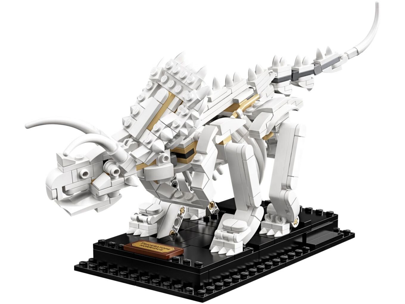 21320 LEGO® Ideas Dinosaurusfossiilit hinta ja tiedot | LEGOT ja rakennuslelut | hobbyhall.fi