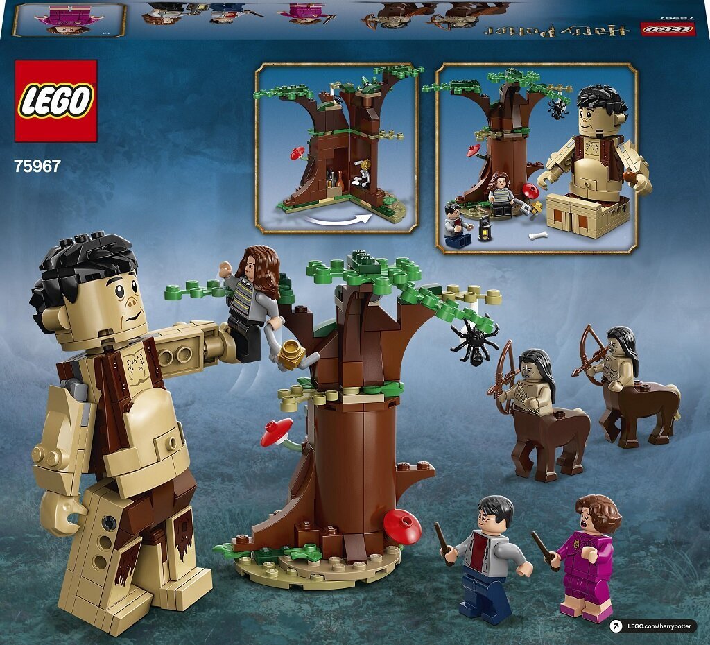 75967 LEGO® Harry Potter Kielletty metsä: Pimennon kohtaaminen hinta ja tiedot | LEGOT ja rakennuslelut | hobbyhall.fi