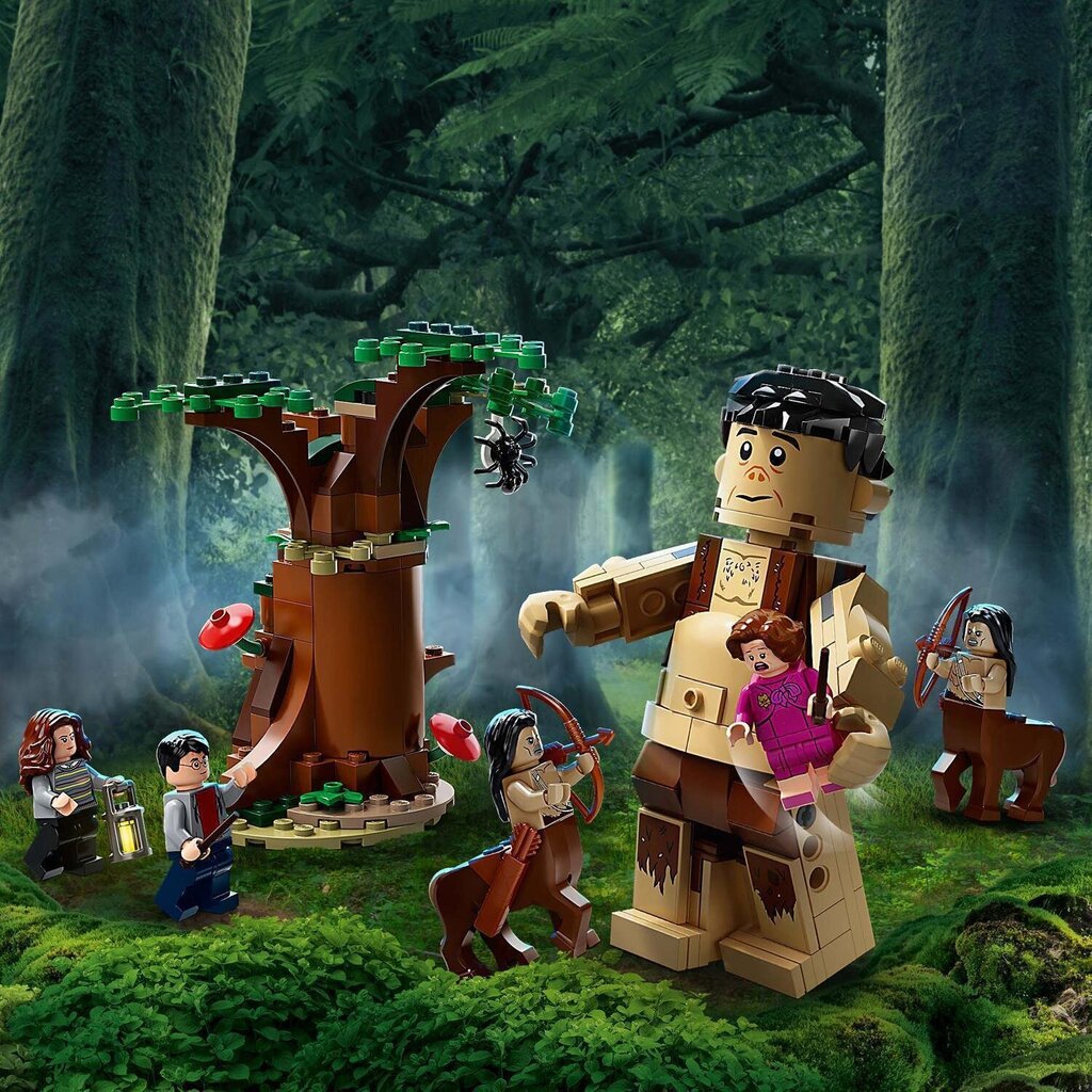 75967 LEGO® Harry Potter Kielletty metsä: Pimennon kohtaaminen hinta ja tiedot | LEGOT ja rakennuslelut | hobbyhall.fi