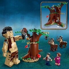 75967 LEGO® Harry Potter Kielletty metsä: Pimennon kohtaaminen hinta ja tiedot | LEGOT ja rakennuslelut | hobbyhall.fi