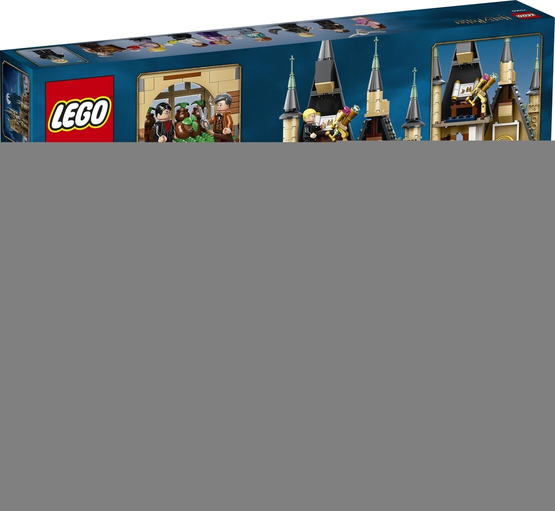 75969 LEGO® Harry Potter Tylypahkan tähtitorni hinta ja tiedot | LEGOT ja rakennuslelut | hobbyhall.fi