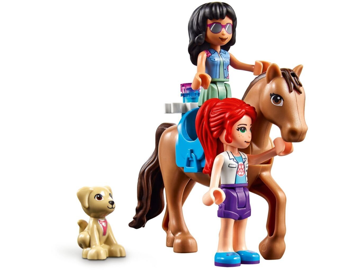 41446 LEGO® Friends Heartlake Cityn eläinsairaala hinta ja tiedot | LEGOT ja rakennuslelut | hobbyhall.fi