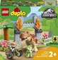 10939 LEGO® DUPLO T. rexin ja Triceratops-dinosauruksen pako hinta ja tiedot | LEGOT ja rakennuslelut | hobbyhall.fi