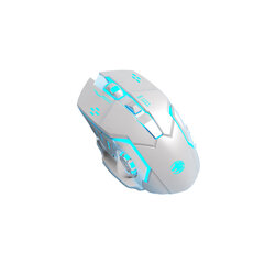 Langaton hiiri Eweadn G306 2.4G 2400DPI RGB USB hinta ja tiedot | Hiiret | hobbyhall.fi