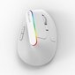 Langaton hiiri Delux M618C 2.4G 1600DPI RGB ABS hinta ja tiedot | Hiiret | hobbyhall.fi