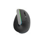 Langaton hiiri Delux M618V 2.4G AI 2400DPI RGB hinta ja tiedot | Hiiret | hobbyhall.fi