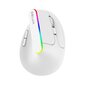 Langaton hiiri Delux M618DB 2.4G 4000DPI 500mAh RGB Bluetooth4.0 hinta ja tiedot | Hiiret | hobbyhall.fi