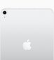 Apple iPad 10 10,9'' Wi-Fi + matkapuhelin 256 Gt - hopea hinta ja tiedot | Tabletit | hobbyhall.fi