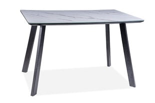Ruokapöytä Signal Meble Samuel 120 cm, valkoinen/musta hinta ja tiedot | Signal Meble Huonekalut ja sisustus | hobbyhall.fi