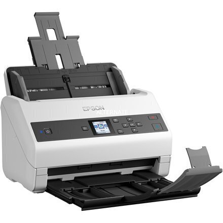 Epson B11B250401 hinta ja tiedot | Skannerit | hobbyhall.fi