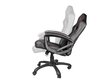 Genesis Gaming chair Nitro 330, NFG-0887 hinta ja tiedot | Toimistotuolit | hobbyhall.fi