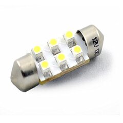 LED-lamppu M-Tech C5W 12V hinta ja tiedot | Polttimot | hobbyhall.fi