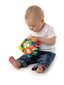 PLAYGRO kehittävä lelu Play and Learn Ball hinta ja tiedot | Vauvan lelut | hobbyhall.fi