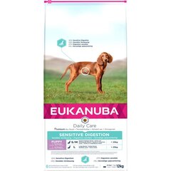 Eukanuba Daily Care Puppy Sensitive Digestion kana ja riisi, 12 kg hinta ja tiedot | Koiran kuivaruoka | hobbyhall.fi