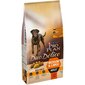 Kuivaruoka koirille PURINA PRO PLAN Duo Delice Adult Beef & Rice, 10 kg hinta ja tiedot | Koiran kuivaruoka | hobbyhall.fi