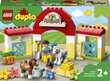 10951 LEGO® DUPLO Hevostalli ja hoitoponit hinta ja tiedot | LEGOT ja rakennuslelut | hobbyhall.fi