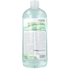 Hydroalcoholic solution Egalle (1000 ml) hinta ja tiedot | Suihkusaippuat ja suihkugeelit | hobbyhall.fi