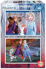 Palapeli Frozen, 2 kpl. x 48 kpl hinta ja tiedot | Palapelit | hobbyhall.fi