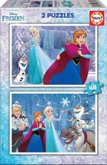 Palapeli Frozen, 2 kpl. x 48 kpl hinta ja tiedot | Palapelit | hobbyhall.fi