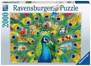 Ravensburger 16567 Peacock -palapeli, monivärinen maa, hinta ja tiedot | Palapelit | hobbyhall.fi