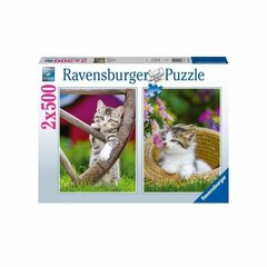 Palapeli Ravensburger Pennut 2 x 500 d. hinta ja tiedot | Palapelit | hobbyhall.fi