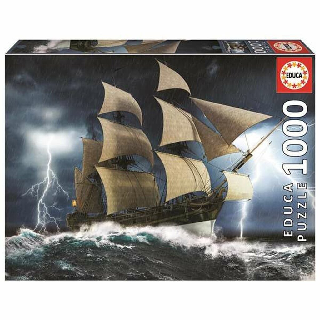 Palapeli laivalla Educa Perfect Storm, 1000 d. hinta ja tiedot | Palapelit | hobbyhall.fi