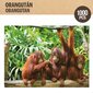 Palapeli Colorbaby Orangutans, 1000 v. hinta ja tiedot | Palapelit | hobbyhall.fi