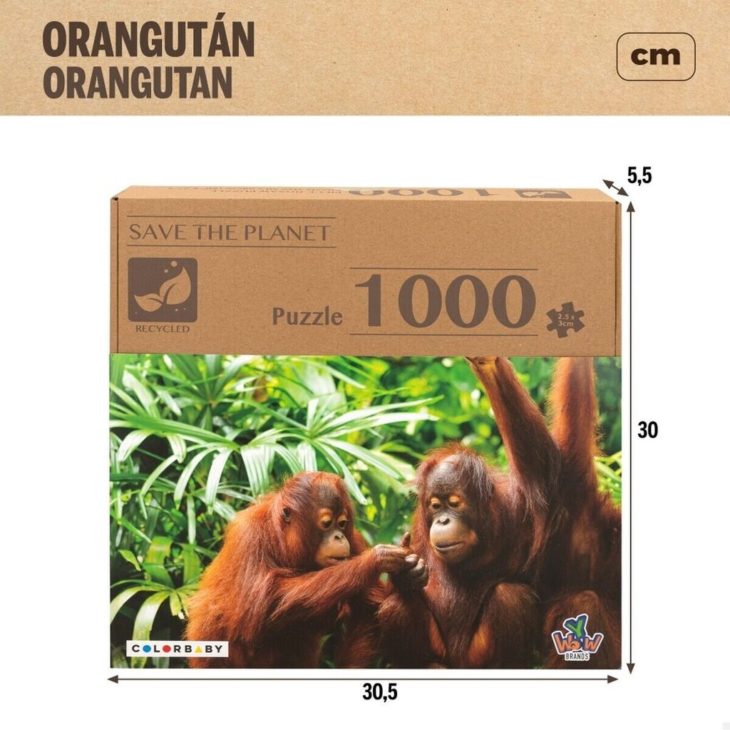 Palapeli Colorbaby Orangutans, 1000 v. hinta ja tiedot | Palapelit | hobbyhall.fi