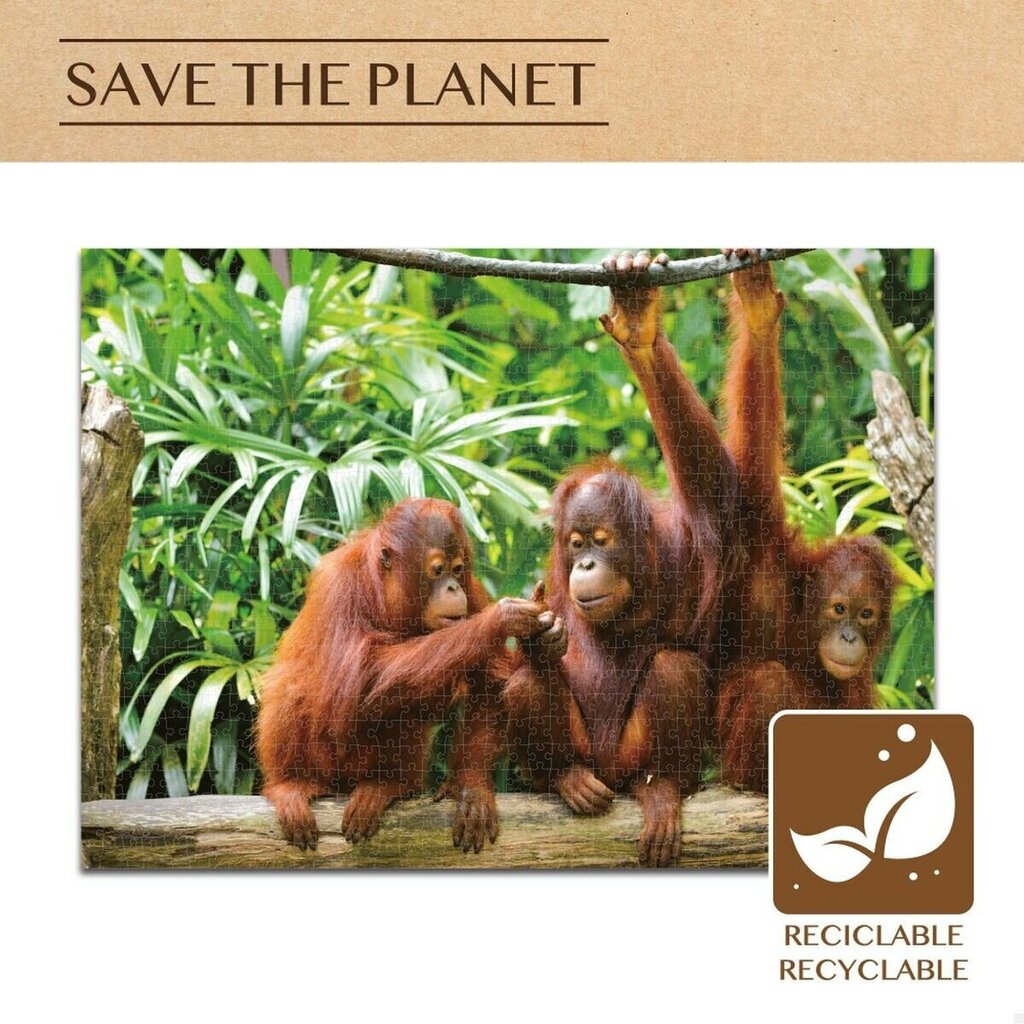 Palapeli Colorbaby Orangutans, 1000 v. hinta ja tiedot | Palapelit | hobbyhall.fi