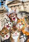 Puinen palapeli ainutlaatuisilla elementeillä "Kittens in London" Wooden Puzzle 200 pcs / Wooden.city hinta ja tiedot | Palapelit | hobbyhall.fi