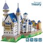 3D-pulma New Swan Castle Colorbaby, 95 d, 6 kpl. hinta ja tiedot | Palapelit | hobbyhall.fi