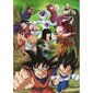 Palapeli Educa Dragon Ball, 500 d. hinta ja tiedot | Palapelit | hobbyhall.fi