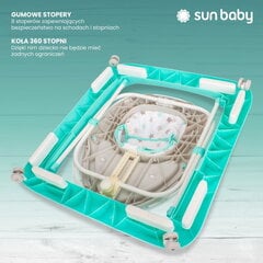 Interaktiivinen kävelijä krokotiili Sun Baby hinta ja tiedot | Sun baby Lapset | hobbyhall.fi