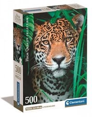 CLEMENTONI-palapeli 500 Kompakti Jaguar viidakossa 35541 hinta ja tiedot | Palapelit | hobbyhall.fi