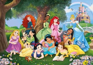 Clementoni Puzzle 104 Supercolor Disney Princess 25743 hinta ja tiedot | Palapelit | hobbyhall.fi