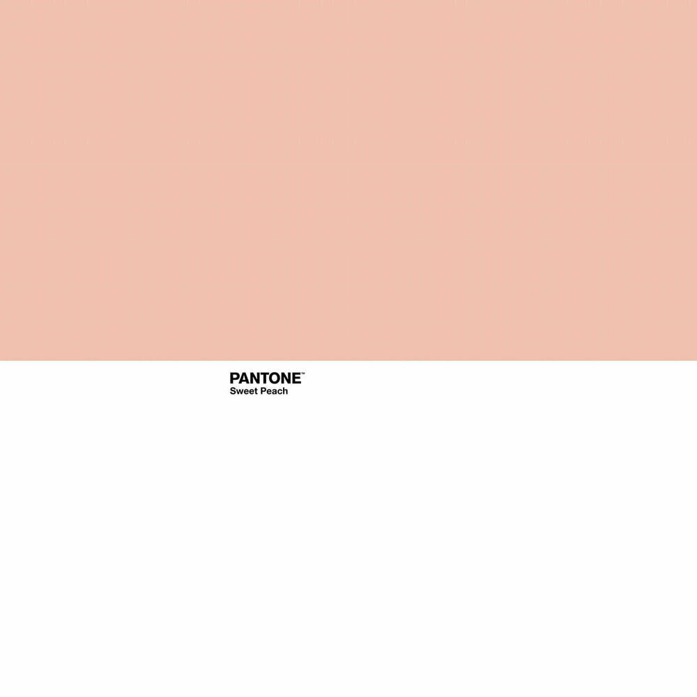 Pantone-peitto Sweet Peach, 250 x 260 cm hinta ja tiedot | Peitot | hobbyhall.fi